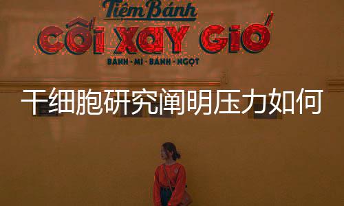 还是胞研医学界的研究共识