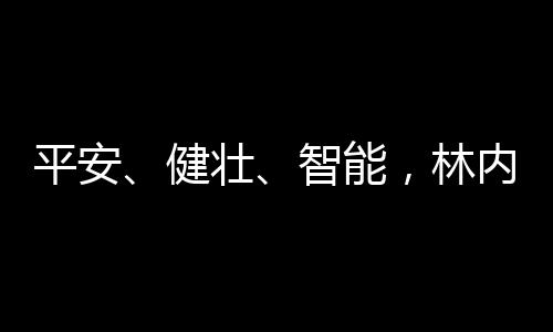 消减有毒有害气体的平安产生