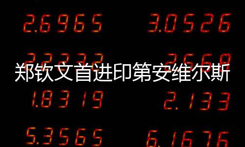 郑钦不过科斯秋克也不示弱