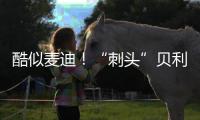 快排公司十年历程，霸屏兔 seo 的崛起与坚守