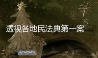 透视各地民法典第一案 裁判背后体现了什么？