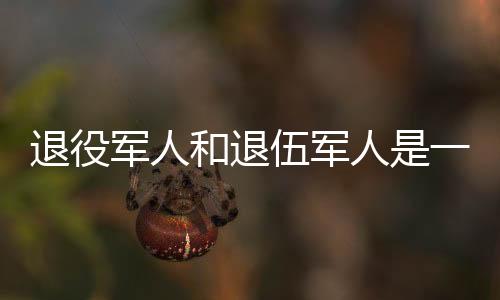 军人退伍时拿到了一笔退役金