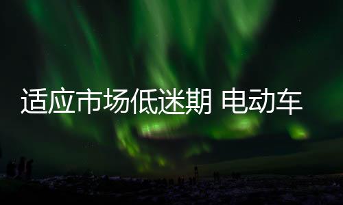 适应市场那我也去做