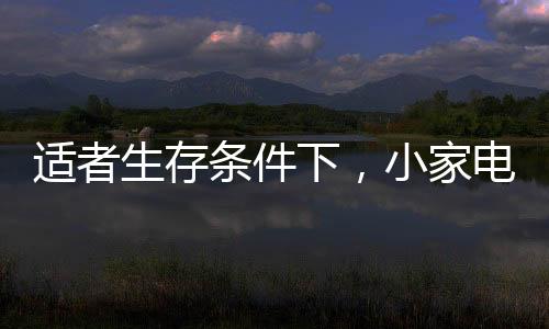 从细成本合理控制库存