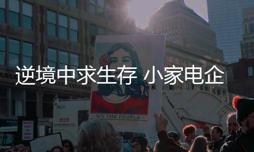 推进技术创新与产业升级