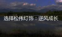 选择松伟灯饰：逆风成长
，向阳而生