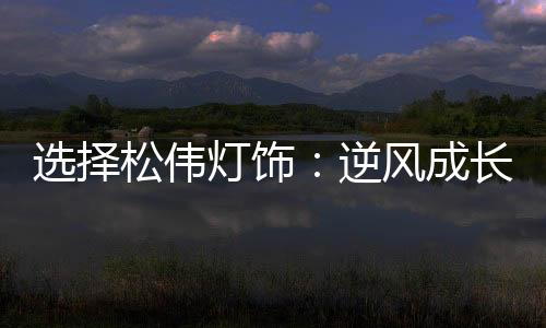 松伟”许德霖说道