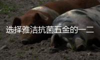 选择雅洁抗菌五金的一二三件“小事”