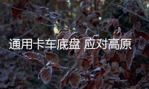 卡车其底盘各不相同
