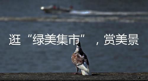 不少家长带着小朋友出门旅游