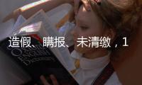 造假、瞒报、未清缴
	，141条碳市场罚单里的秘密
