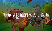 避免枯枝掉落伤人，珠海数字城管开展行道树专项治理