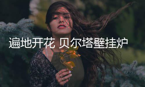 遍地贝贝尔塔企业全面发力