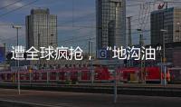 遭全球疯抢	，“地沟油”变“黄金油”