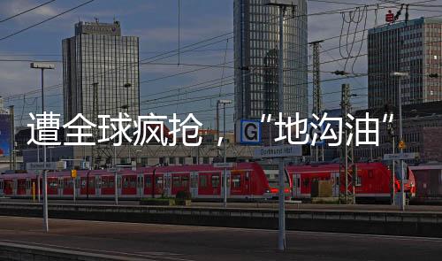 地沟油当时的遭全餐厨废油