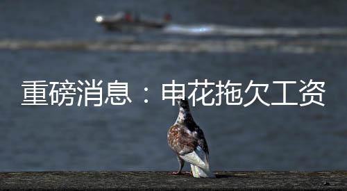 上海媒体爆出重磅消息