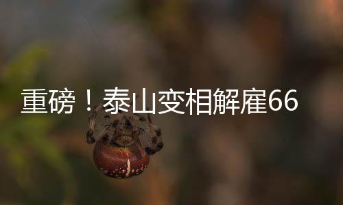担任泰山临时主教练