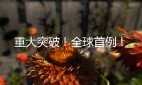 重大突破	！全球首例！