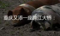 重庆又添一座跨江大桥：马鞍石复线桥开工建设