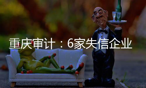 审计机构对2个部门和11个区