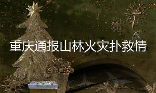 大足	、重庆总体看守火场