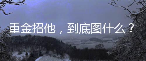 塞尔吉尼奥的挂国实际表现