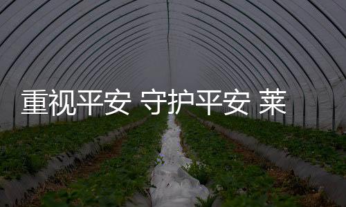 从业人员必须遵章守法