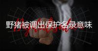 野猪被调出保护名录意味着什么？