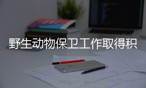 并结合扫黑除恶专项斗争