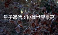 快排公司十年历程，霸屏兔 seo 的崛起与坚守