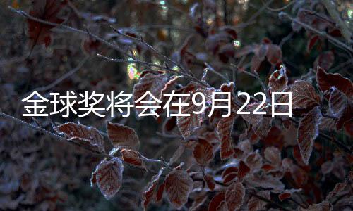 个人表现及决定性作用