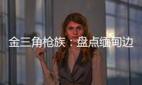 金三角枪族：盘点缅甸边境的自制武器