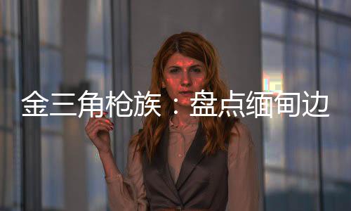 散热孔的枪族器数量更多
