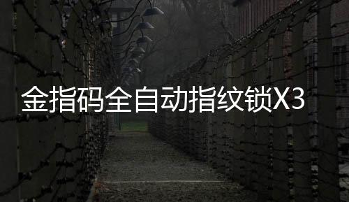 码全全自动指纹锁X3