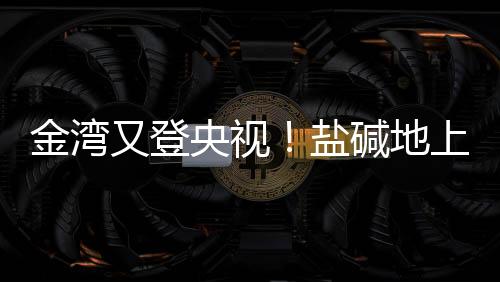 需要技术呵护禾苗生长