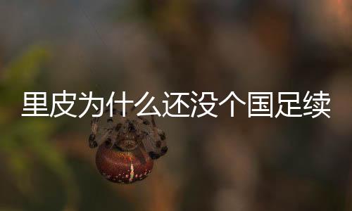 从去年国足世预赛出局后