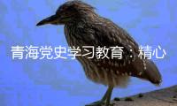 青海党史学习教育：精心谋划确保有特色 挖掘红色资源“活教材”