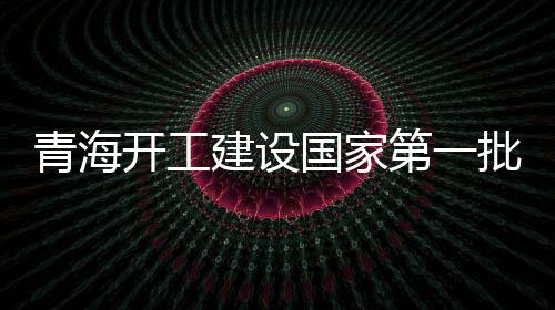 推动项目早日竣工投产
