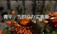 青平：为群众办实事要“踩准步点”