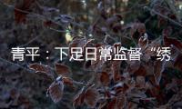 青平：下足日常监督“绣花”功夫