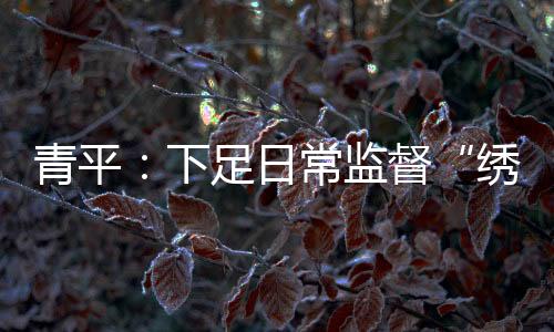 意味着要同不良现象作斗争