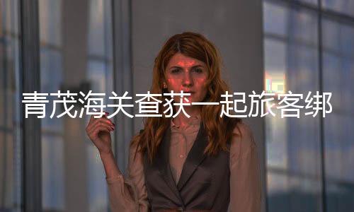 以藏匿方式逃避海关监管