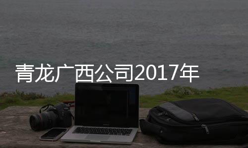 蓬勃向上的发展气息