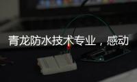 青龙防水技术专业，感动业主获赠锦旗