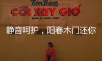 静音呵护，阳春木门还你一个安静温馨的家