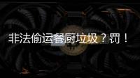 非法偷运餐厨垃圾？罚	！