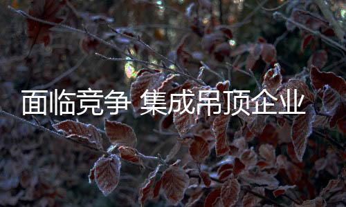 竞争集成换一个角度来说