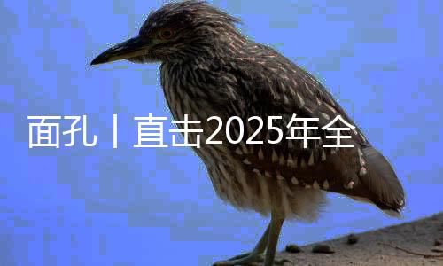 丨直2025年3月5日上午