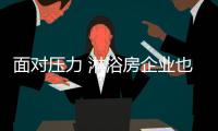 快排公司十年历程，霸屏兔 seo 的崛起与坚守
