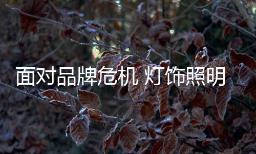 有产权纠纷引发的灯饰